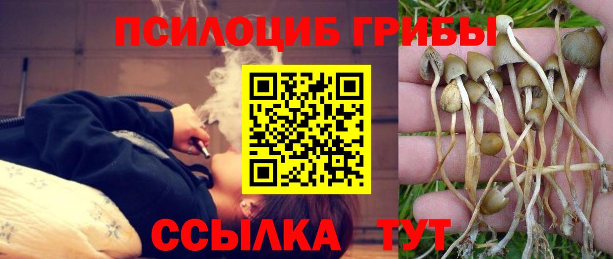 Галлюциногенные грибы Magic Shrooms Нефтекумск